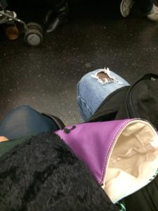 10689810_998706253488592_1999450407640822144_n